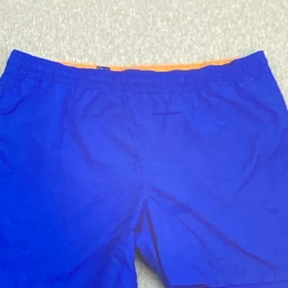 Polo by Ralph Lauren Men's Vibrant Blue Shorts